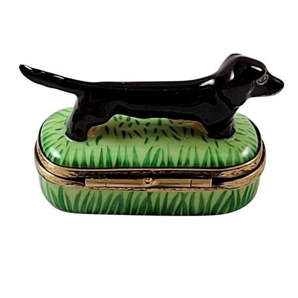 Black Tan Dachshund Porcelain Limoges dog dogs French Trinket Box