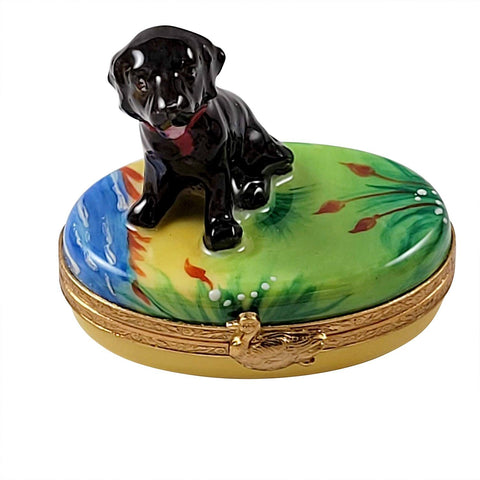 Black Labrador Lab Porcelain Limoges dog Rochard Limoges Box French Trinket Box