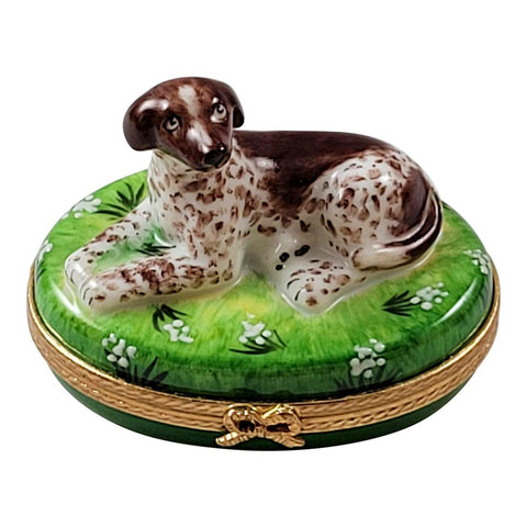 German Short Haired Pointer Dog Figurine Porcelain Limoges Dog French Trinket Box