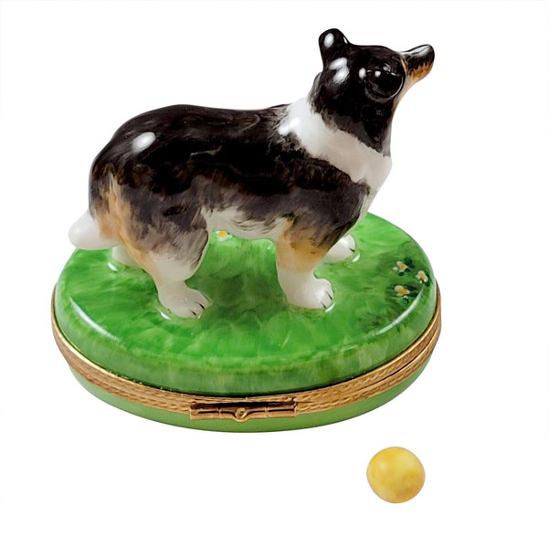 Sheltie with Removable Ball Porcelain Limoges dog French Trinket Box