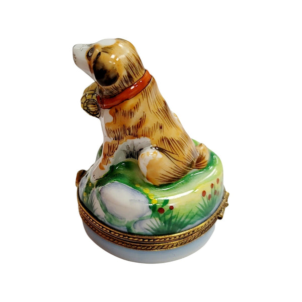St Bernard Dog Limoges Box Porcelain Limoges dog limoges boxes French Trinket Box
