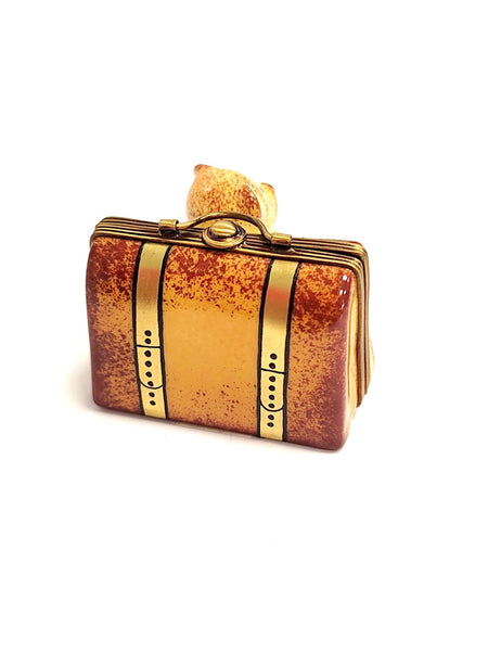 Teddy Bear Adventure Box Porcelain Limoges Teddy French Trinket Box