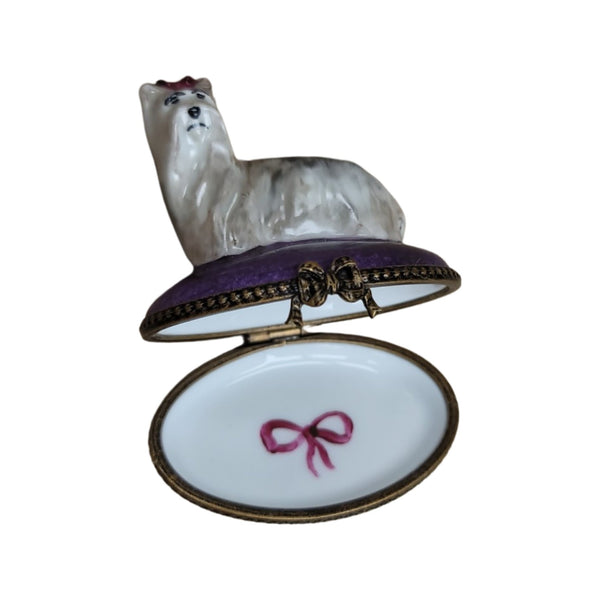 White Yorkshire Terrier Limoges Box Porcelain Limoges dog LIMOGES BOXES French Trinket Box