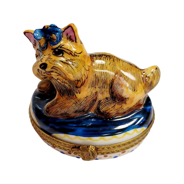 Yorkshire Terrier Limoges Box Porcelain Limoges dog French Trinket Box
