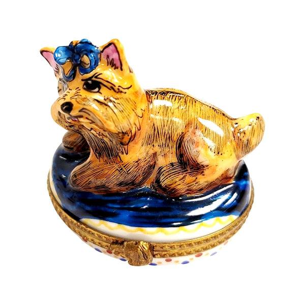Yorkshire Terrier Limoges Box Porcelain Limoges dog French Trinket Box