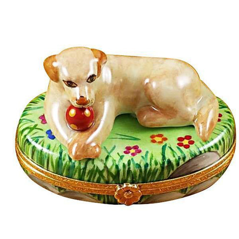 Beige Labrador Dog w Ball Porcelain Limoges dog Rochard Limoges Box French Trinket Box