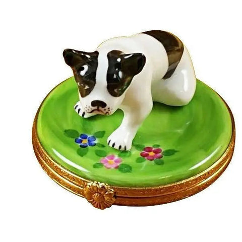 Boston Terrier Dog Porcelain Limoges dog French Trinket Box