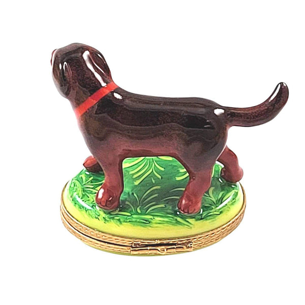 Chocolate Labrador Standing Porcelain Limoges Dog French Trinket Box