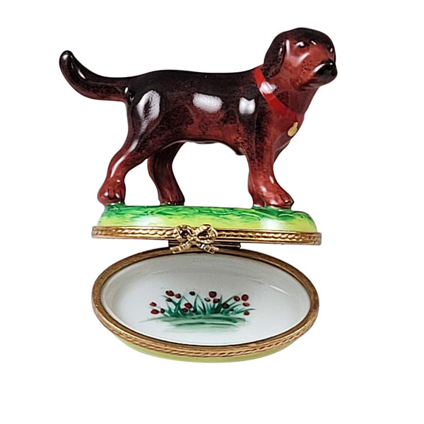 Chocolate Labrador Standing Porcelain Limoges Dog French Trinket Box