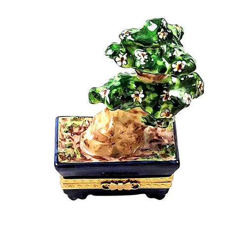 Japanese Bonsai Tree Porcelain Limoges Garden World French Trinket Box