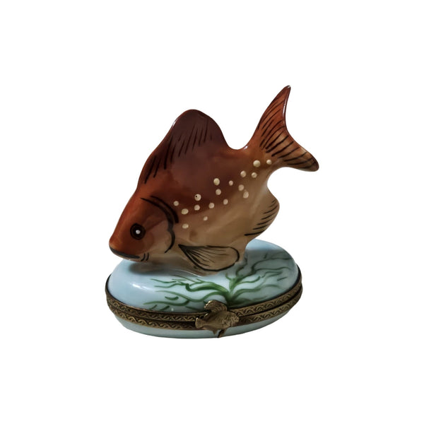 Orange Tropical Fish Limoges Box Porcelain Limoges Ocean beach fish French Trinket Box