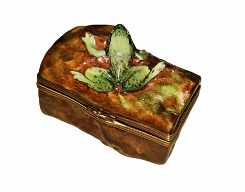 Charming Frog Figurine Box Porcelain Limoges Frog turtle French Trinket Box