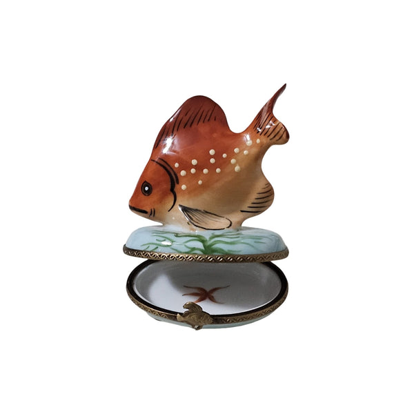 Orange Tropical Fish Limoges Box Porcelain Limoges Ocean beach fish French Trinket Box
