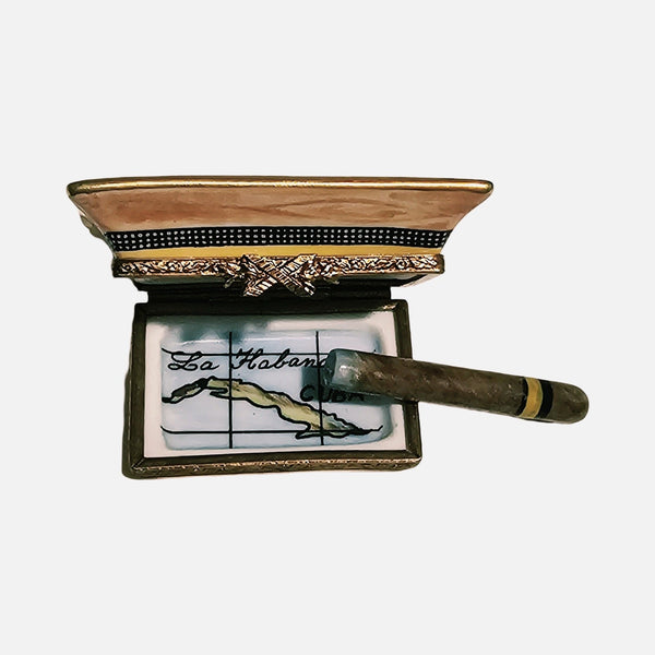 Cigar in Cohiba Ashtray