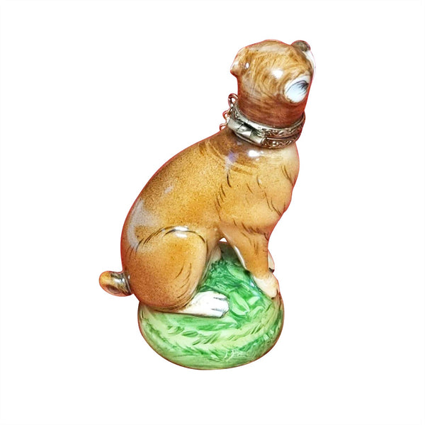 Boxer Dog Figurine Limoges Box on Green Base, view 2