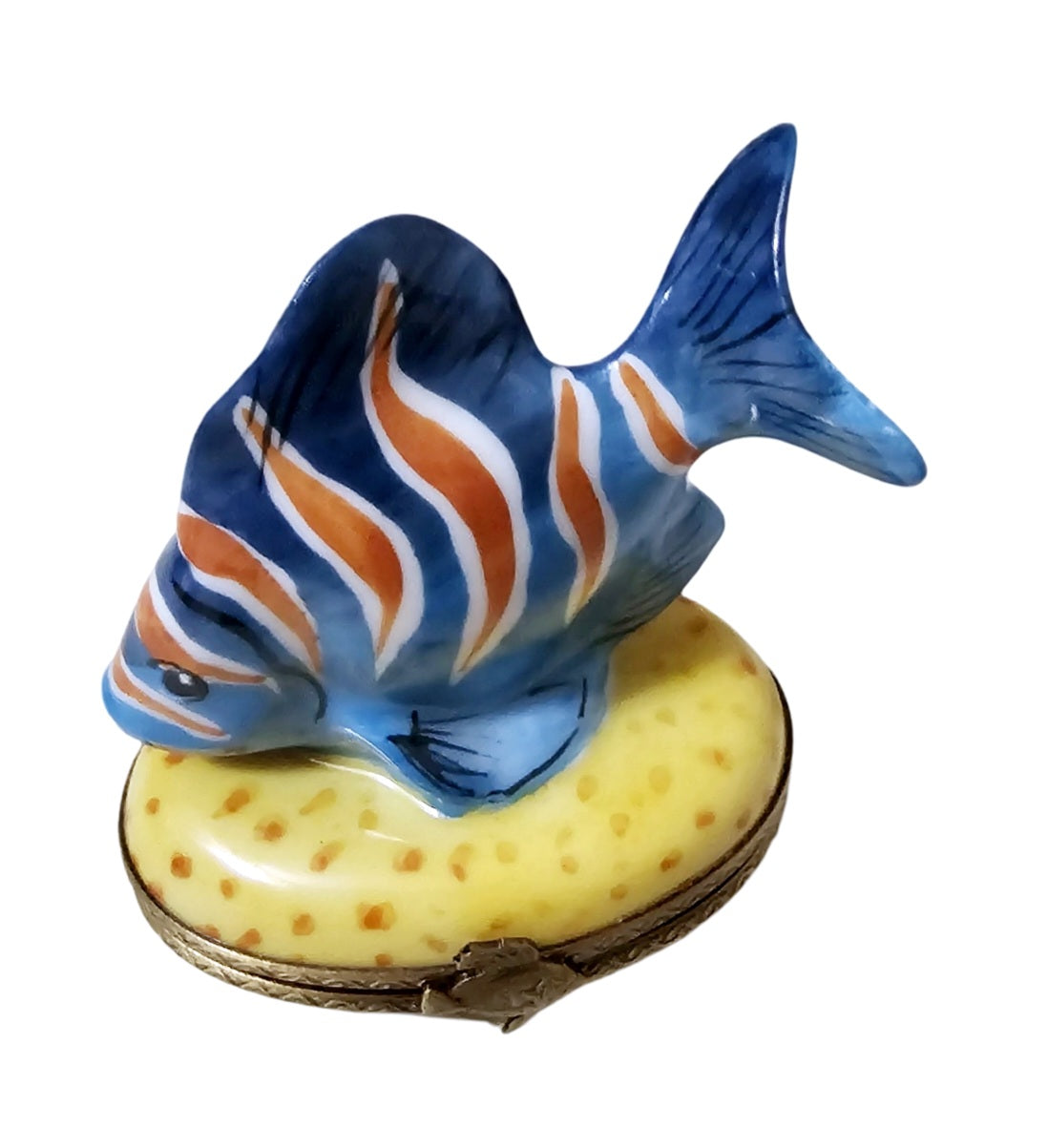 blue and yellow fish in a box Texas Toy Distribution Small Aquatic Plush Stuffed Animal These adorable aquatic ocean plush animals are incredibly detailed with printed fabric Blue Fish Limoges Box for