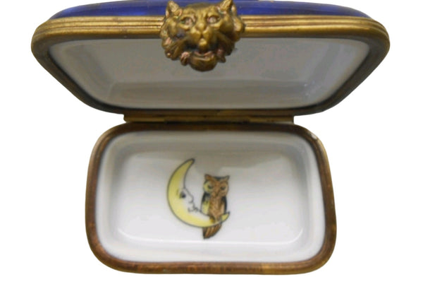 Witch on Broom Authentic Limoges Box