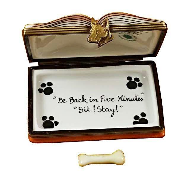 Veterinarian Book Porcelain Limoges book professional French Trinket Box