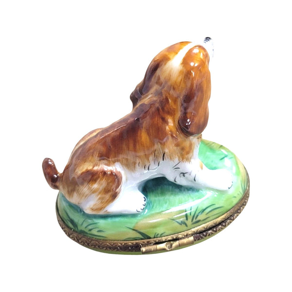 Brown Dog Porcelain Limoges Trinket Box