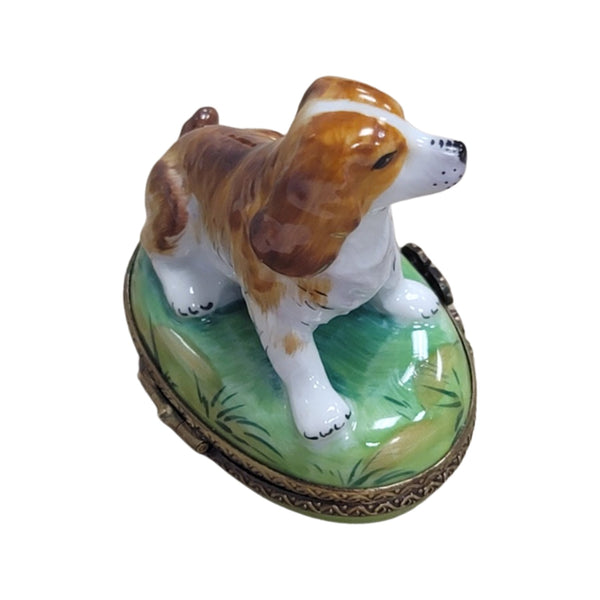 Brown Dog Porcelain Limoges Trinket Box
