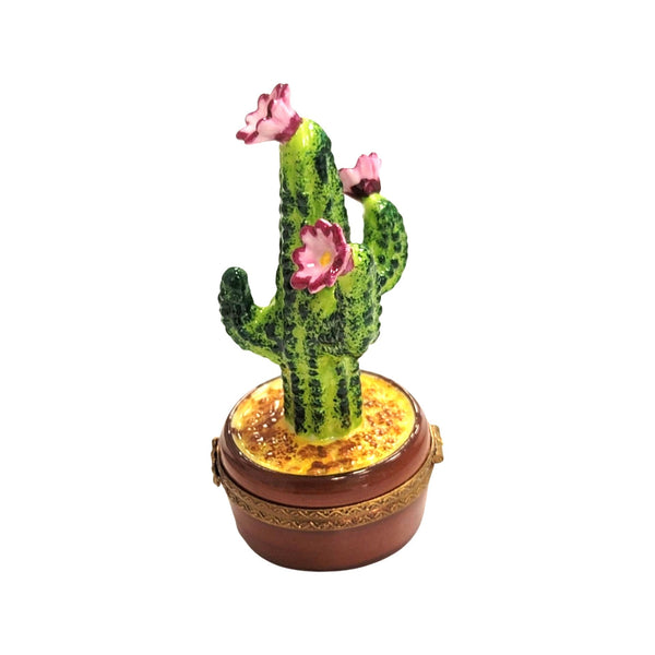 Cactus FLOWERING IN POT Porcelain Limoges Trinket Box