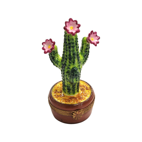 Cactus FLOWERING IN POT Porcelain Limoges Trinket Box