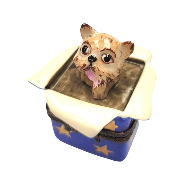 Dog in Gift Porcelain Limoges Trinket Box