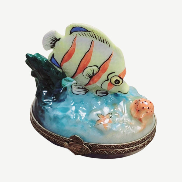 Exotic Fish Porcelain Limoges Trinket Box