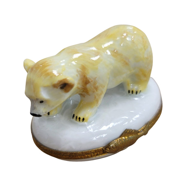 Polar Bear Cub Porcelain Limoges Trinket Box