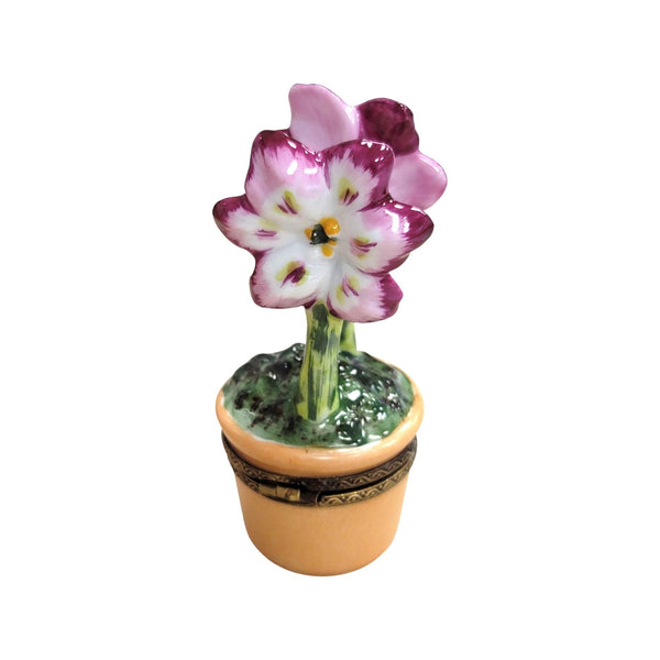 Purple Flowers in Pot Porcelain Limoges Trinket Box