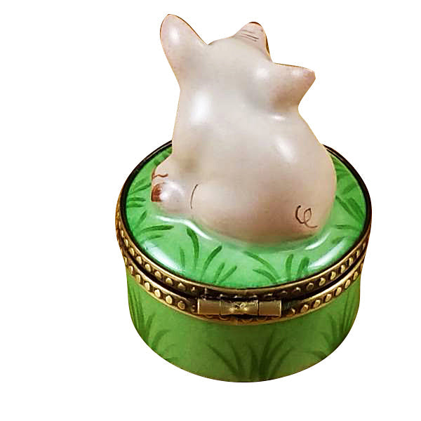 Mini Pig on Green Base Limoges Porcelain Box