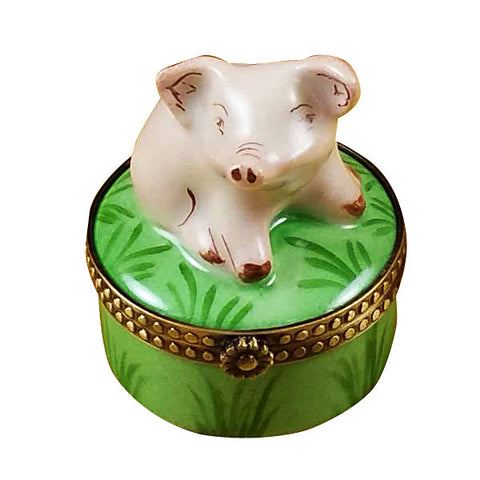 Mini Pig on Green Base Limoges Box Limoges Porcelain Box