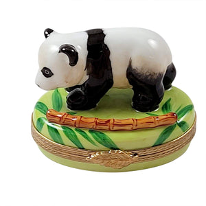 Panda Bear w Bamboo