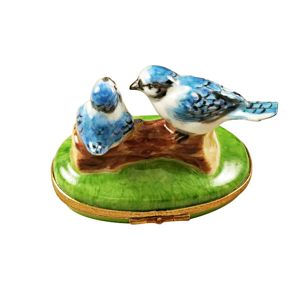 Blue Birds with Eggs Limoges Porcelain Box
