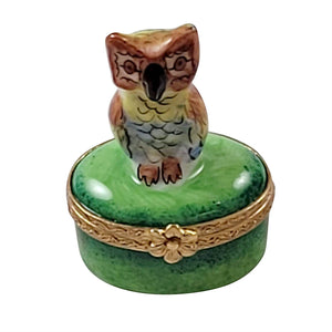 Mini Owl on Green