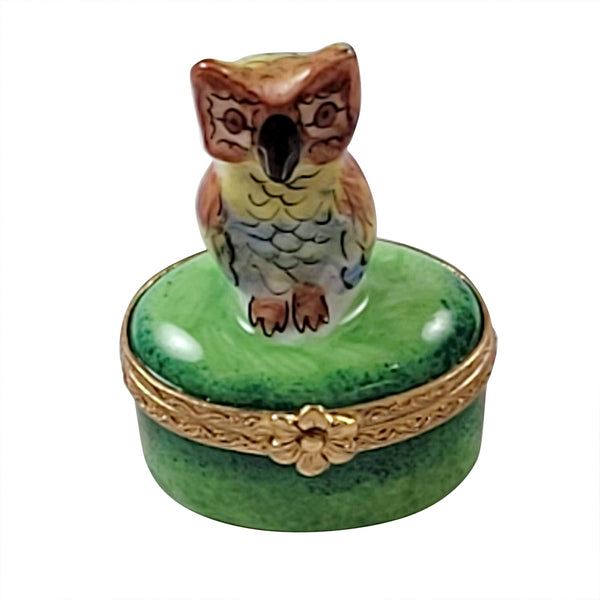 Mini Owl on Green