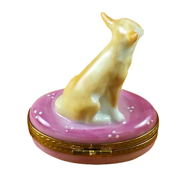 Chihuahua on Pink Base Limoges Porcelain Box