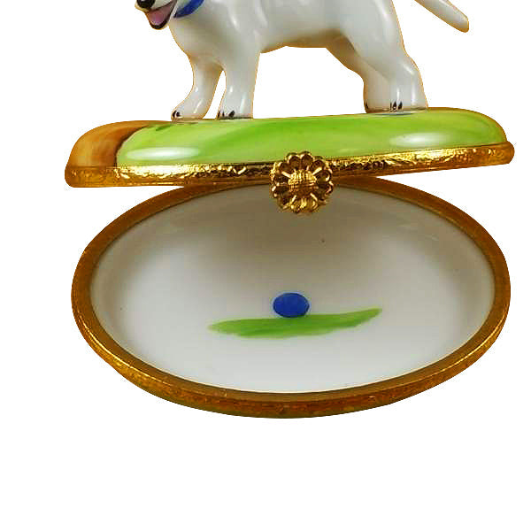 Bull Terrier Limoges Porcelain Box