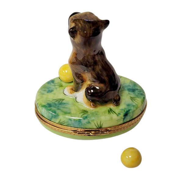 Boxer on Grass with Removable Ball Limoges Porcelain Box
