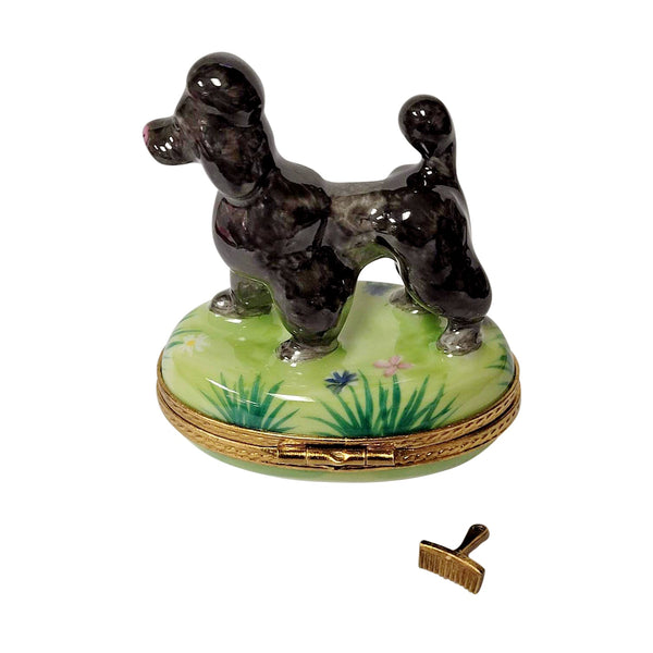 Black Poodle with Removable Grooming Tool Limoges Porcelain Box
