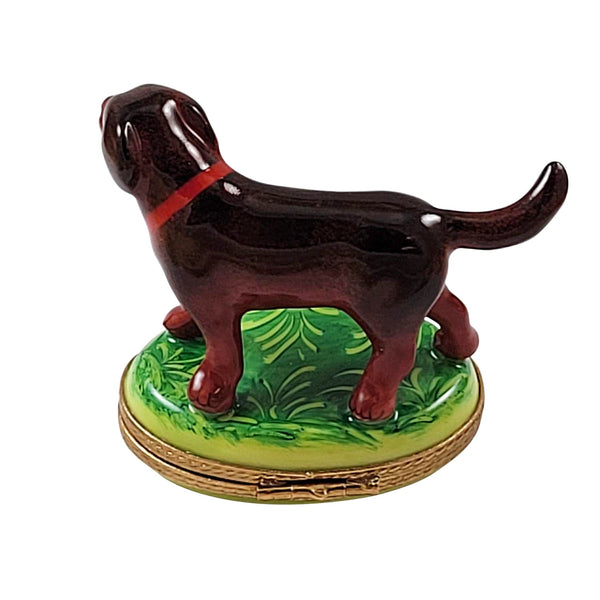 Chocolate Labrador Standing Limoges Porcelain Box
