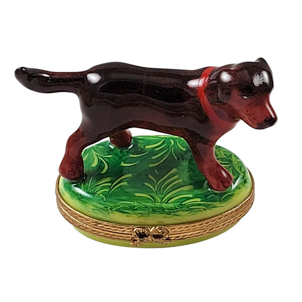 Chocolate Labrador Standing Limoges Porcelain Box