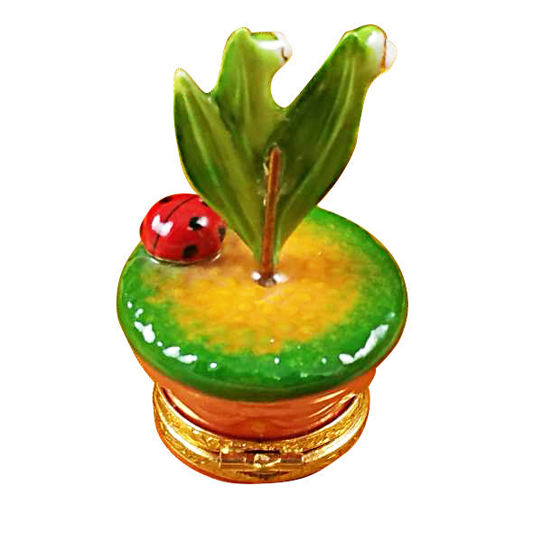 Lily of the Valley with Ladybug in Pot Limoges Porcelain Box