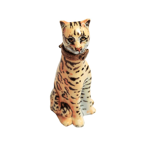 Tiger Wild Porcelain Limoges Trinket Box