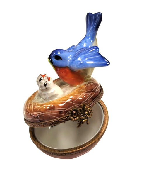 Blue Bird in Nest w Chicklings