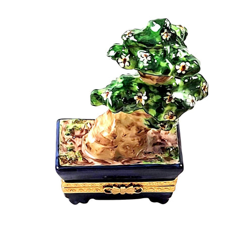 Japanese Bonsai Tree Limoges Box Porcelain Figurine