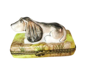Long Earred Dog - Limoges Box