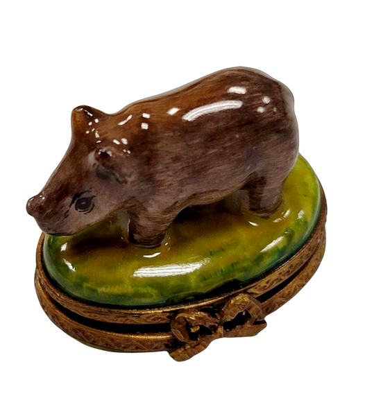 Mini Hippo Extremely Rare