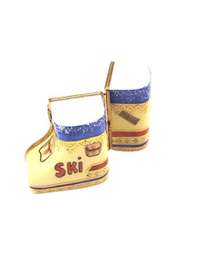 SKI shoes in Case skiing skier