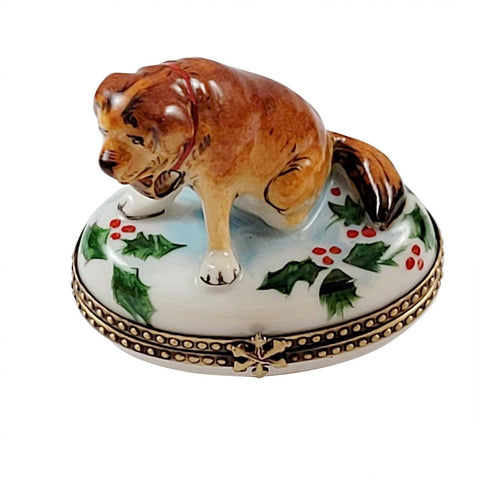 St. Bernard with Holly limoges box